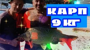 Вываживания карпа весом 9 кг #video #live #рыбалка #карп