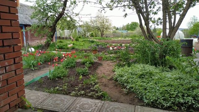 Зеленому тарифу в России не бывать!!! Т- плюс жжет по полной придумывая новые отказы смотреть онлайн