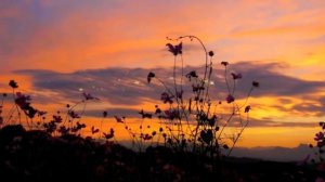 ЖЕНЯ БЕЛОУСОВ Вечерок