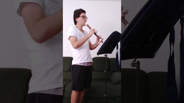 Alla Siciliana, Haendel - flauta doce - por Igor Flautista смотреть онлайн