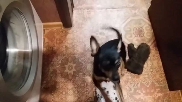 Цельнозерновой хлеб. смотреть онлайн