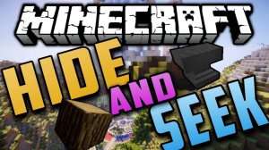 Hide and Seek on Hypixel#1