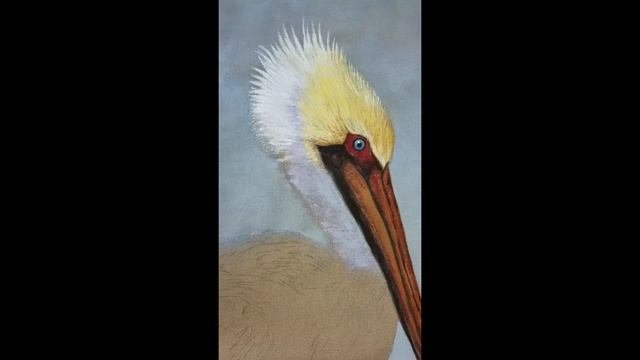 How to Paint a Pelican смотреть онлайн