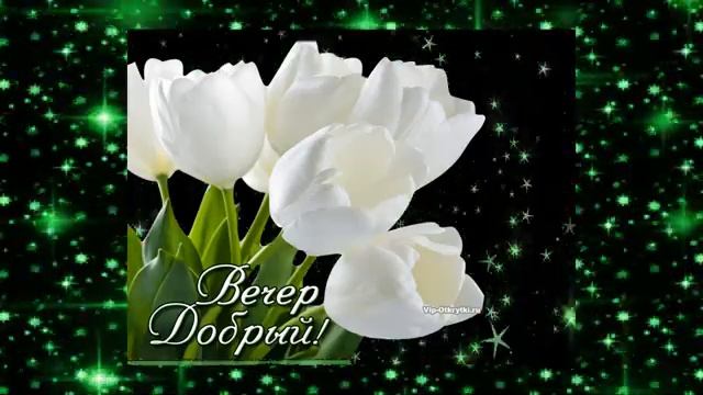 Дмитрий Шестакович Русский вальс смотреть онлайн