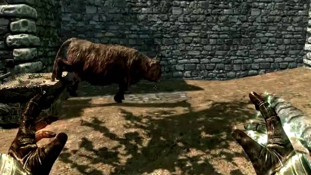 TES V Skyrim - баги с коровой (bugs with cow)