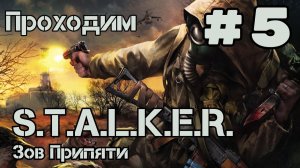 Уютный ламповый стрим. S.T.A.L.K.E.R.: Зов Припяти. Всем фанатам посвящается)