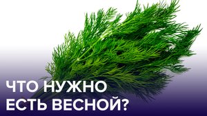 Как поднять ИММУНИТЕТ после зимы? | Доктор 24