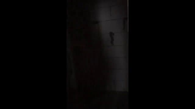 Таировские сады смотреть онлайн