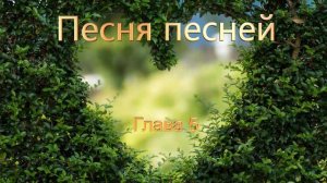 Священные Писания. Песня песней Соломона