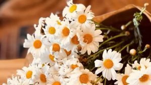 "Я и деньги" Саидмурод Давлатов (3)