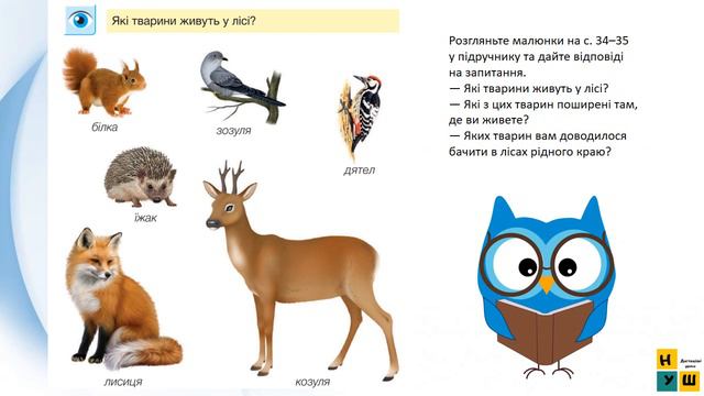 ЯДС 1 клас урок 61 Тварини лісу  автор підручника Жаркова
