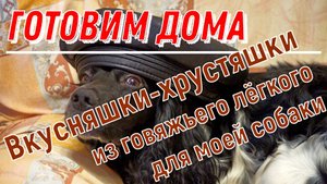 Готовим дома. Вкусняшки-хрустяшки из говяжьего лёгкого для моей собаки