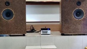 Рупорная акустика на динамиках 4 А 28