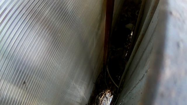 Что приносят вороняки в свое гнездо смотреть онлайн