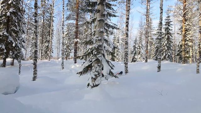 Lynx 49 ranger 600 ace смотреть онлайн