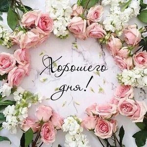 Желаю хорошего настроения и отличного дня