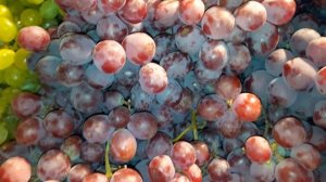 Виноград розовый Кардинал