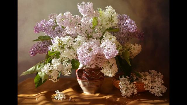 Исполнение С Страусова Сирень. Стихи - Лана Астрикова - Макаренко смотреть онлайн