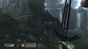 Let's Play The Elder Scrolls IV: Oblivion GOTY Deluxe Part 203: Troll Hunting