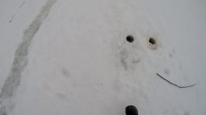 Клязьма. Дергуша. Ловля зимой на течении