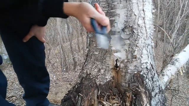 как не надо ставить березовый сок смотреть онлайн