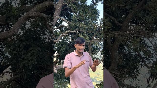 Facts about Laligurans(Rhododendron),Peepal  and bara tree .17 October 2022