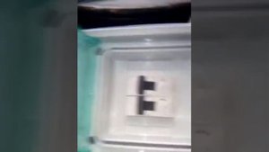 Электричество в колодце
