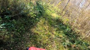 По горам, по долам...