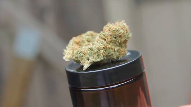 HD Weed (FIRE) - Island Sweet Skunk - Canon 60D 18-135mm смотреть онлайн