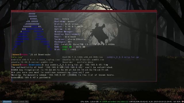 zabbix server em ubuntu 14 lts