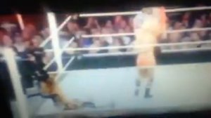 Kelly Kelly Stinkface montage
