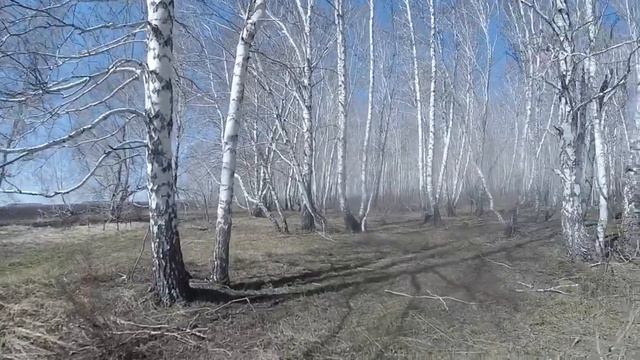 Сонагуз аул в Азовском немецком национальном районе Омской области_Sonaguz aul in the Omsk region