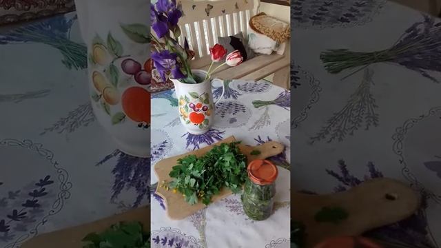 Заготавливаем чистотел на зиму.