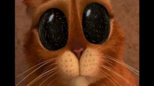 Что такое самоидентичность и Духовная интеграционика