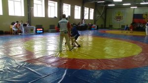 самбо дети 10-11 лет вес до 34 кг 1\8