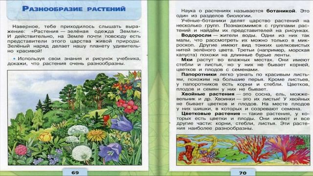 Разнообразие растений. Окружающий мир. 3 класс, 1 часть. Учебник А. Плешаков стр. 64-68