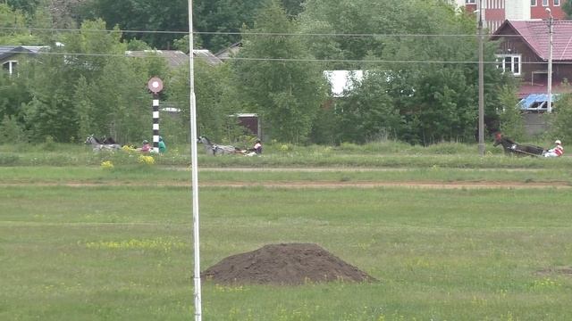 2 Раменский ипподром 25.05.2019 - Лошади рожд. 2017г. орловской породы смотреть онлайн