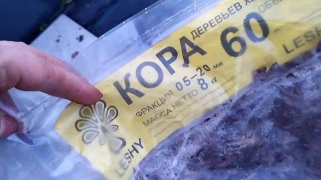 Мульчирование корой клумб и грядок