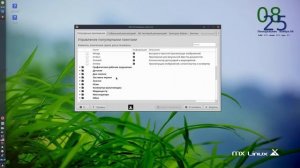 MX LINUX 19 Установка+первичная настройка (вывод в конце)