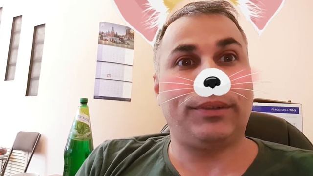 У меня лапки! Помогите приюту. Уадик Харчок и личное мнение. смотреть онлайн