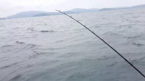 Амурский залив. Катя ловит камбалу