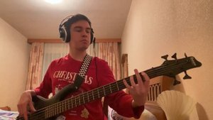 Максим - Не отдам bass cover(Ibanez Ergodyne EDB605)