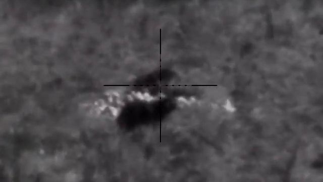 Охота на енота с вышки)) смотреть онлайн