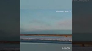 Охота на турпана в Якутии