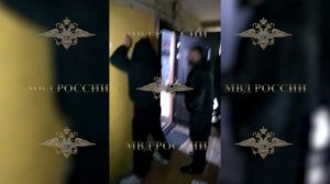 Ирина Волк:МВД России проводит мероприятия,направленные на противодействие преступлениям в сфере ИТК