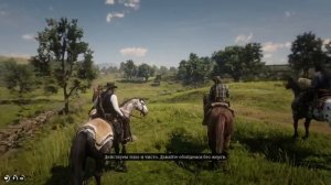 Прохождение Red Dead Redemption 2 #20 Досадная ошибка (на русском языке) PS4.