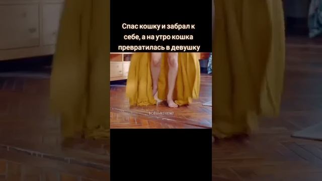 Спас кошку и забрал к себе кошку а она превратилась в девушку #shorts #top #fyp