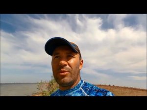 ВОЛГА. СОМ на КВОК.