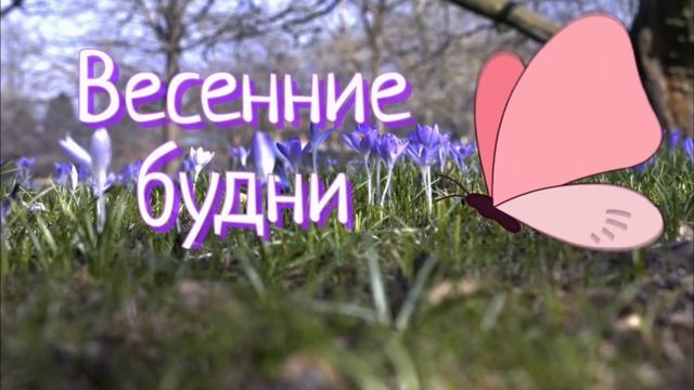 Природа Эстонии весной.Куда сходить в Таллине.Где погулять, что посмотреть весной.Влог из Эстонии
