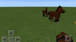 играем в майнкрафт  как кататься  на лошади ?